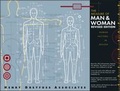 Cover: The Measure of Man and Woman - Wiley