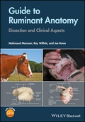 Bild: Guide to Ruminant Anatomy - Wiley