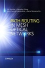 Cover: Path Routing in Mesh Optical Networks - Wiley