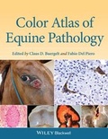 Bild: Color Atlas of Equine Pathology - Wiley