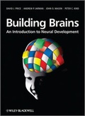 Cover: Building Brains - Wiley
