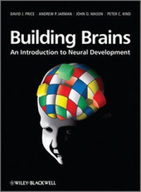 Enlarge image Cover: Building Brains - Wiley