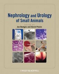 Abbildung von: Nephrology and Urology of Small Animals - Wiley