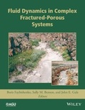 Cover: Fluid Dynamics in Complex Fractured-Porous Systems - American Geophysical Union