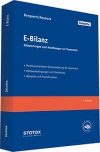 Bild vergrößern Bild: E-Bilanz - Stollfuß