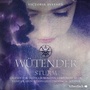 Cover: Wütender Sturm - Silberfisch