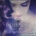 Cover: W&uuml;tender Sturm - Silberfisch