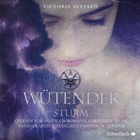 Enlarge image Cover: Wütender Sturm - Silberfisch