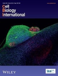Abbildung von: Cell Biology International - Wiley