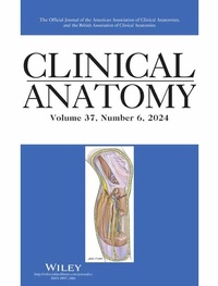 Abbildung von: Clinical Anatomy - Wiley