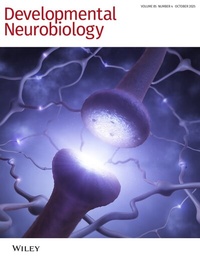 Abbildung von: Developmental Neurobiology - Wiley