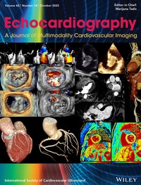 Bild: Echocardiography - Wiley