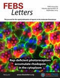 Abbildung von: FEBS Letters - Wiley