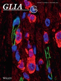 Abbildung von: GLIA - Wiley