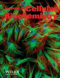Abbildung von: Journal of Cellular Biochemistry - Wiley