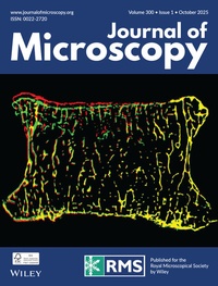 Bild: Journal of Microscopy - Wiley