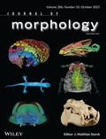 Abbildung von: Journal of Morphology - Wiley