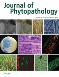 Abbildung von: Journal of Phytopathology - Wiley