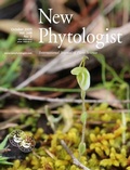 Abbildung von: New Phytologist - Wiley