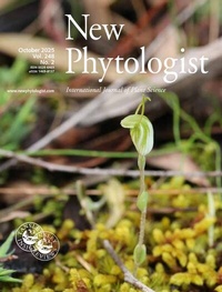 Abbildung von: New Phytologist - Wiley