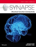 Abbildung von: SYNAPSE - Wiley