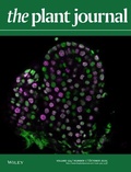 Abbildung von: The Plant Journal - Wiley