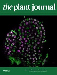 Abbildung von: The Plant Journal - Wiley