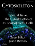 Abbildung von: Cytoskeleton - Wiley