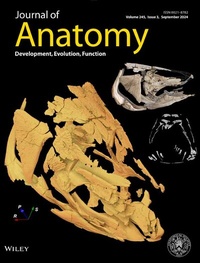 Abbildung von: JOURNAL OF ANATOMY - Wiley