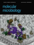 Abbildung von: MOLECULAR MICROBIOLOGY - Wiley