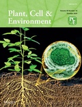 Abbildung von: PLANT CELL & ENVIRONMENT - Wiley