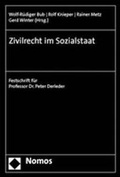 Cover: Zivilrecht im Sozialstaat - Nomos
