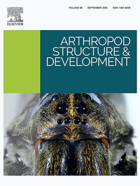 Abbildung von: Arthropod Structure & Development - Elsevier