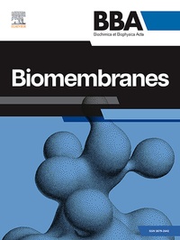Abbildung von: BBA Biomembranes - Elsevier