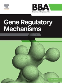 Abbildung von: BBA Gene Regulatory Mechanisms - Elsevier