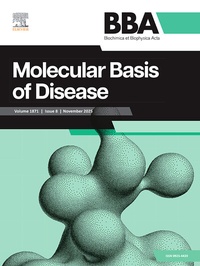 Abbildung von: BBA Molecular Basis of Disease - Elsevier