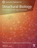 Abbildung von: Current Opinion in Structural Biology - Elsevier