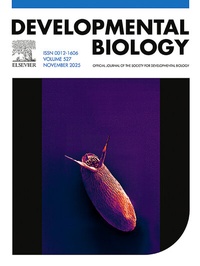 Abbildung von: Developmental Biology - Elsevier