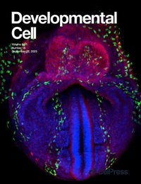 Bild vergrößern Bild: Developmental Cell - Elsevier
