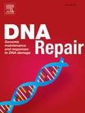 Abbildung von: DNA Repair - Elsevier