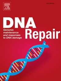 Abbildung von: DNA Repair - Elsevier