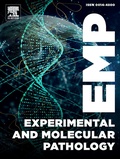 Abbildung von: Experimental and Molecular Pathology - Elsevier