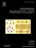 Bild: Experimental Parasitology - Elsevier