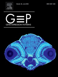 Abbildung von: Gene Expression Patterns - Elsevier