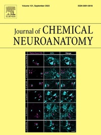 Abbildung von: Journal of Chemical Neuroanatomy - Elsevier