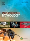 Abbildung von: Journal of Invertebrate Pathology - Elsevier
