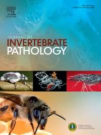 Bild: Journal of Invertebrate Pathology - Elsevier