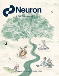 Abbildung von: Neuron - Elsevier