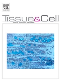 Abbildung von: Tissue and Cell - Elsevier