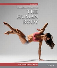 Enlarge image Cover: Introduction to the Human Body - Wiley